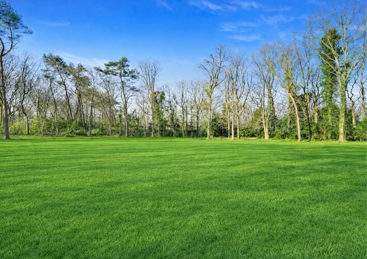 Photo 4 of Schouwweg 85