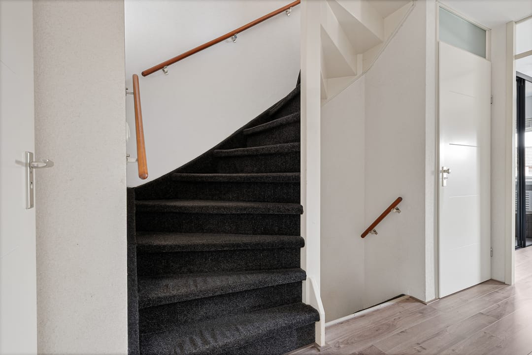 Photo 22 of Harnas 1