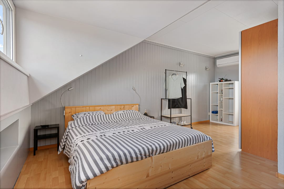 Photo 23 of Harnas 1