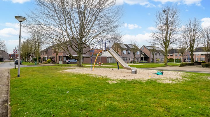 Photo 3 of De Zwaan 11