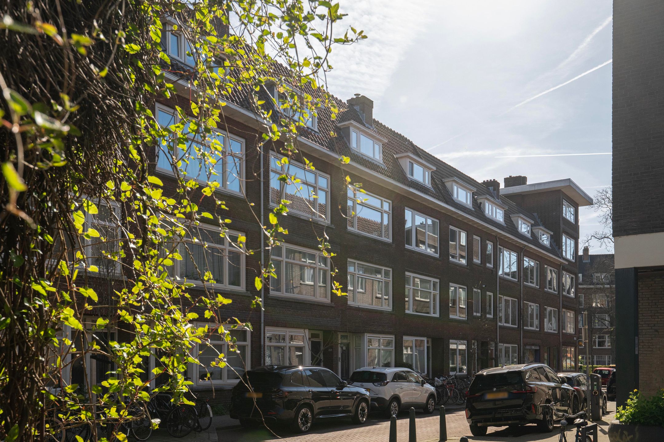 Foto 21 van Treubstraat 18-B01