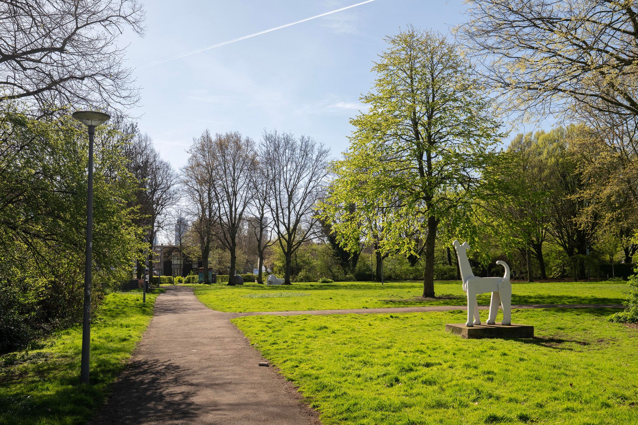 Foto 24 van Treubstraat 18-B01