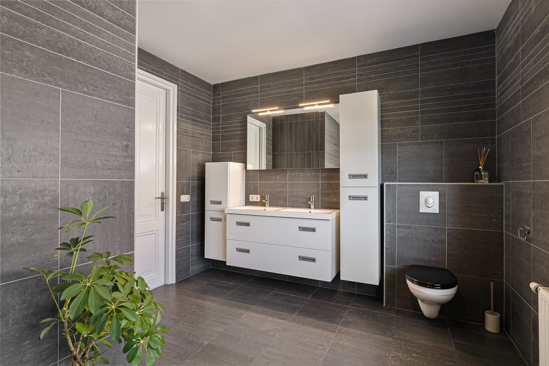 Foto 31 van Pyriet 5