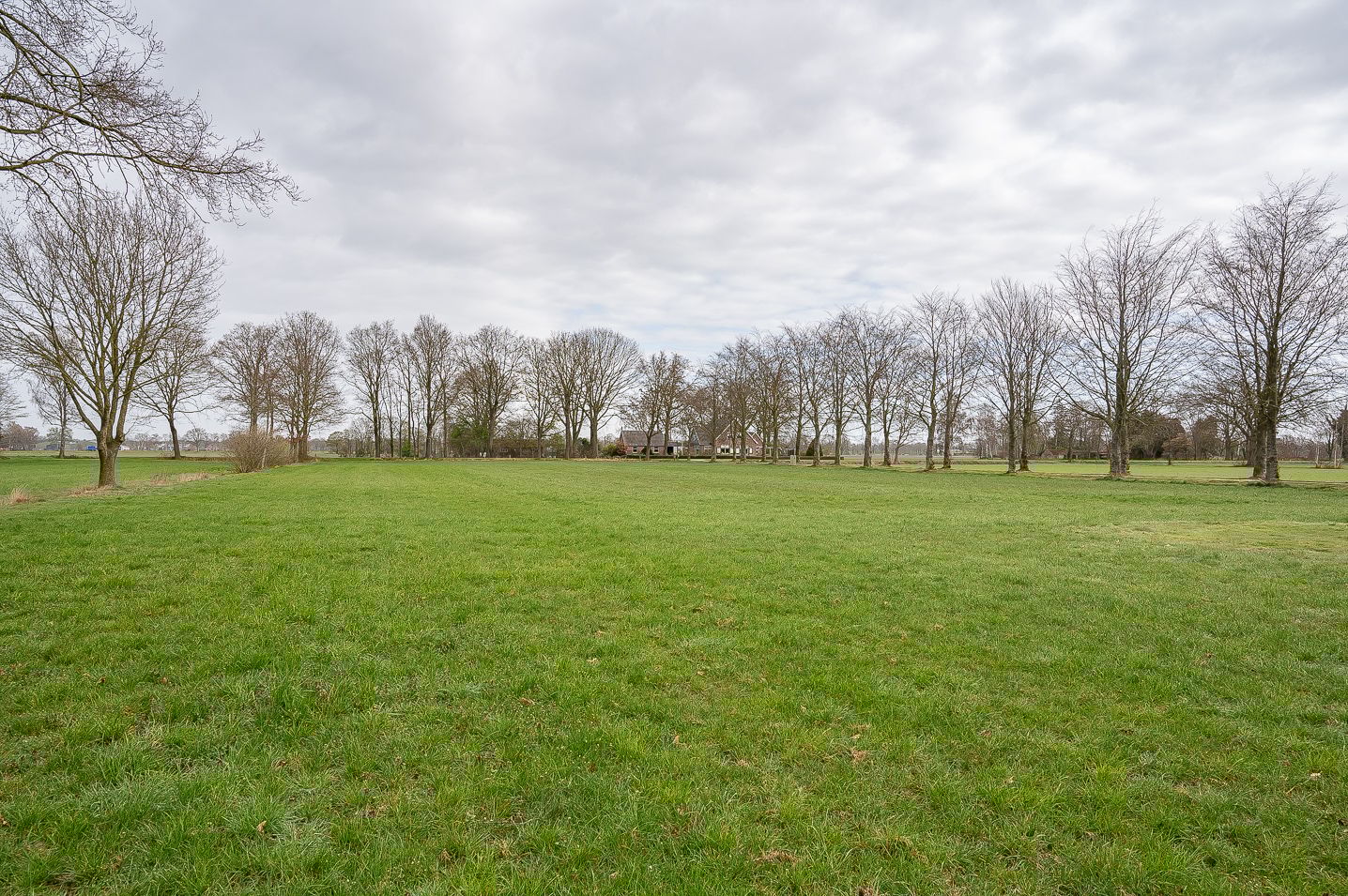 Foto 80 van Petersdijk 8