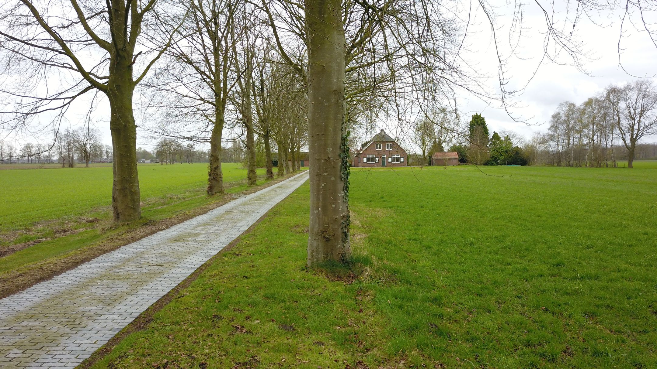 Foto 15 van Petersdijk 8