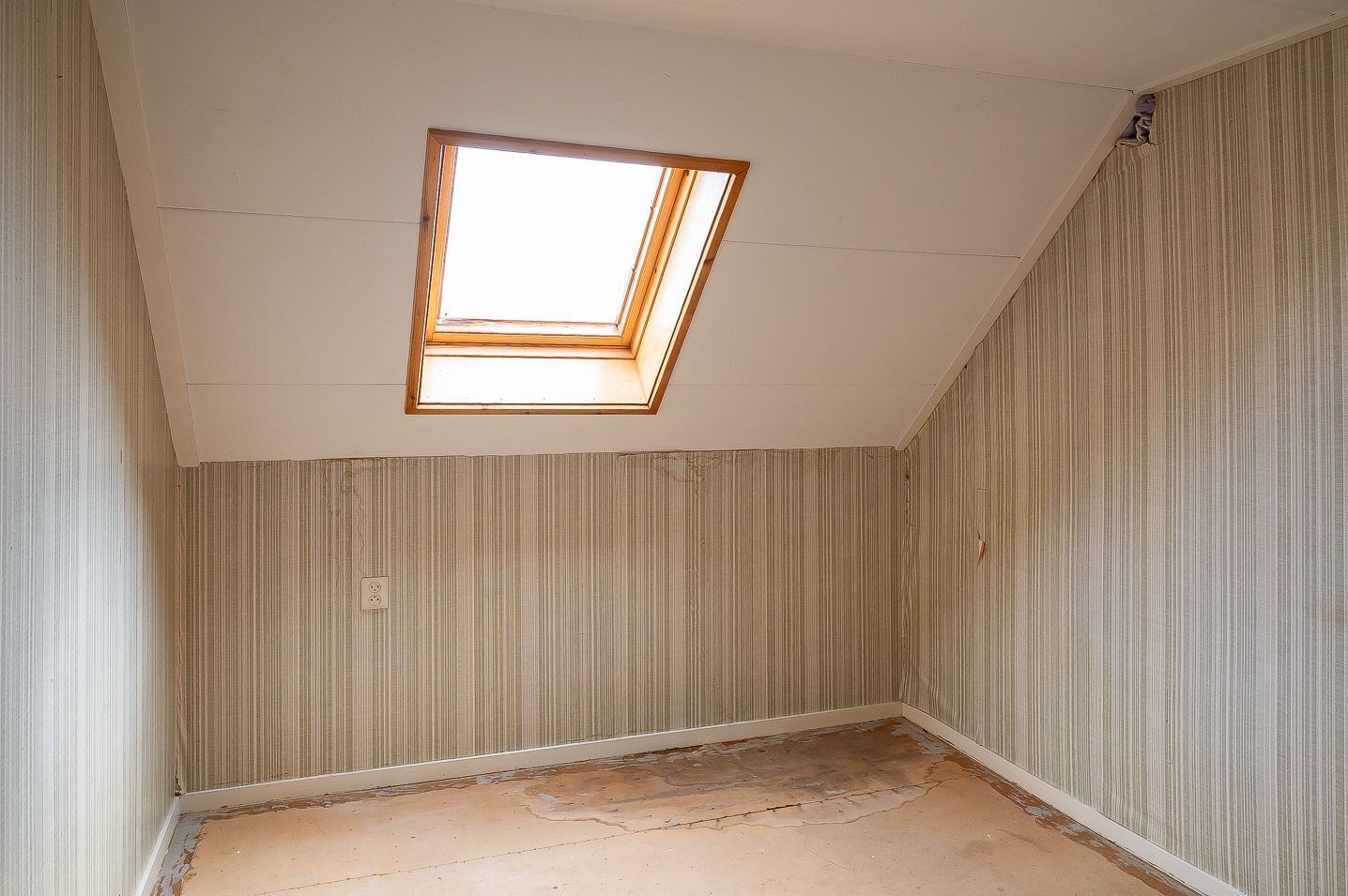 Foto 65 van Petersdijk 8