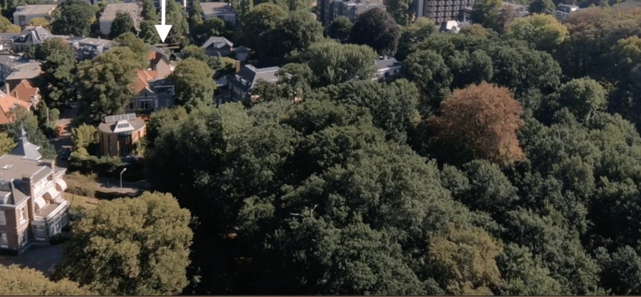 Foto 45 van Westerhoutpark 20