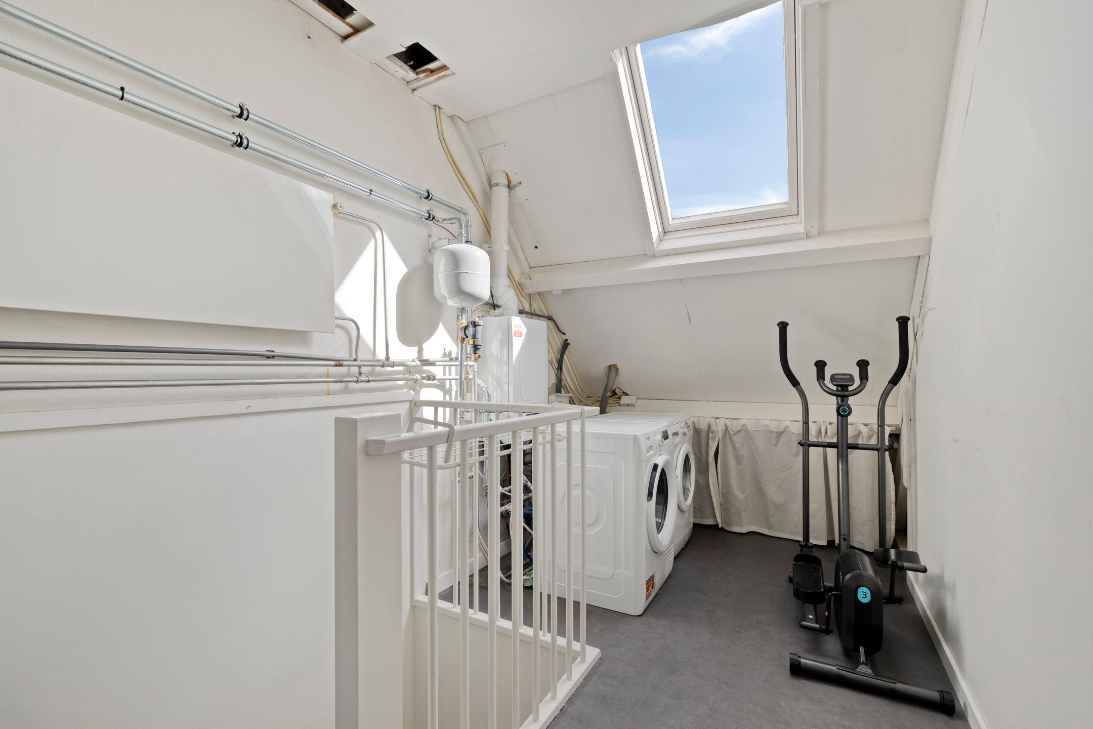 Foto 24 van Meidoorn 12