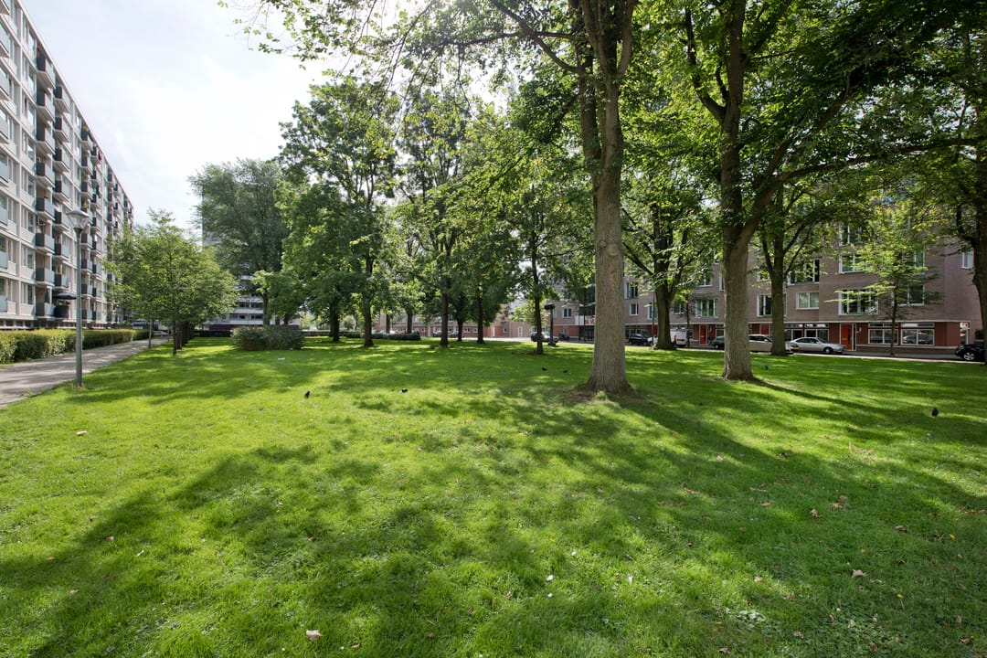 Foto 22 van Ierlandstraat 138