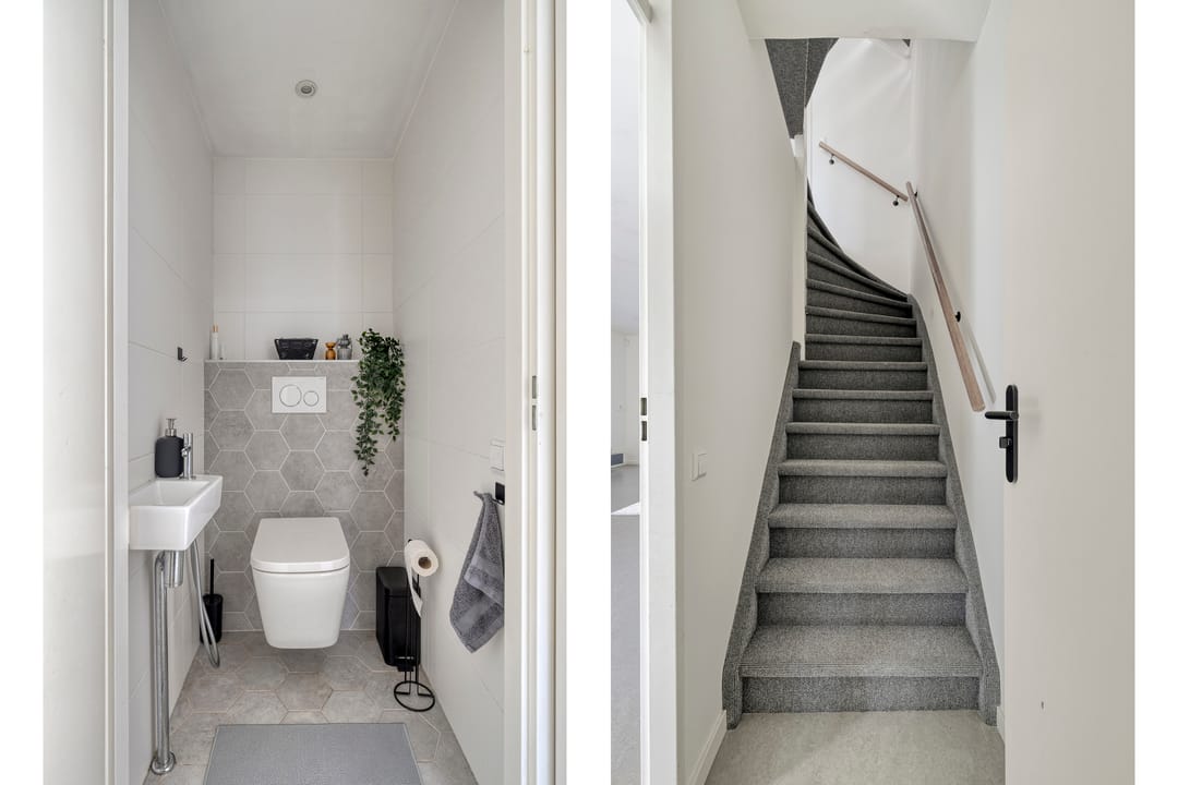 Foto 13 van Meidoorn 12