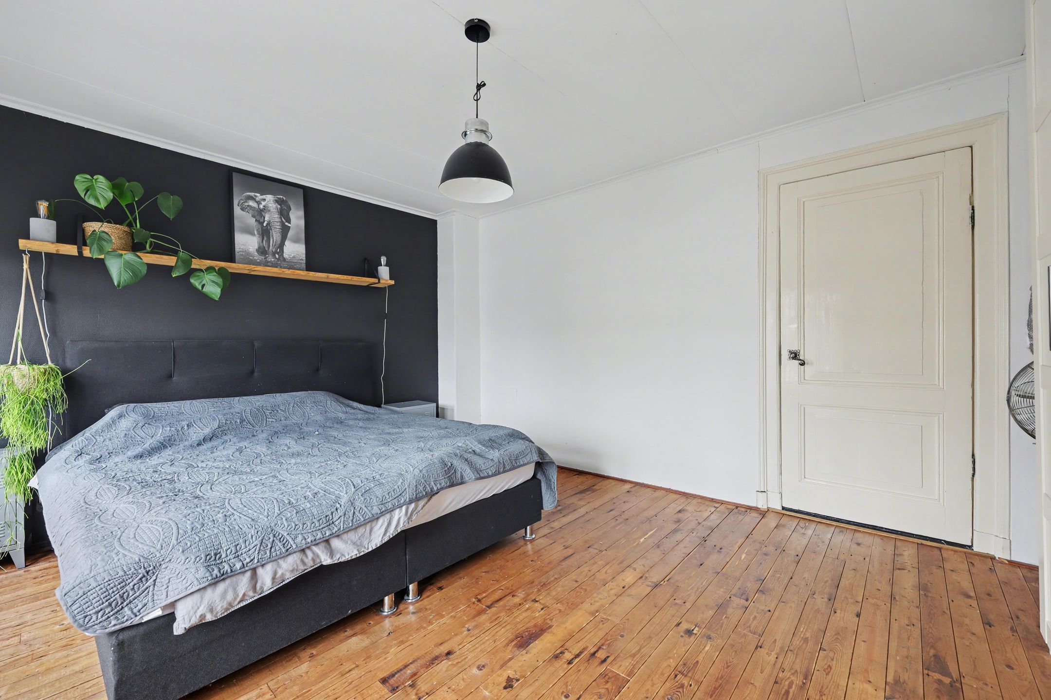 Foto 21 van Hoge Bothofstraat 104