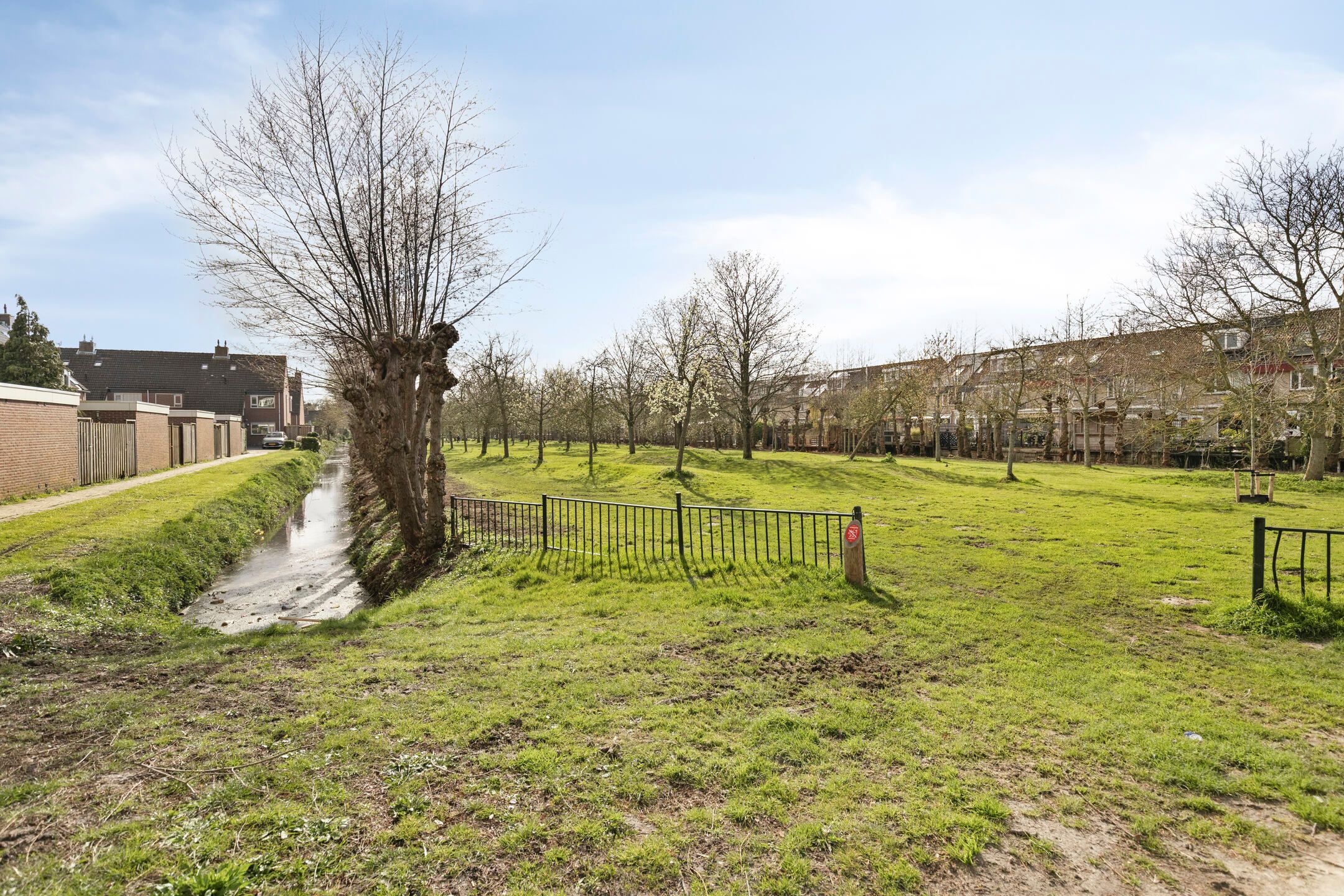 Foto 36 van Meidoorn 12