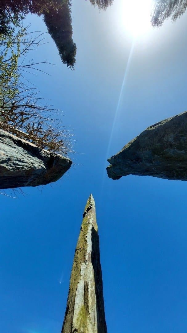 Foto 48 van Paltrokmolen 24