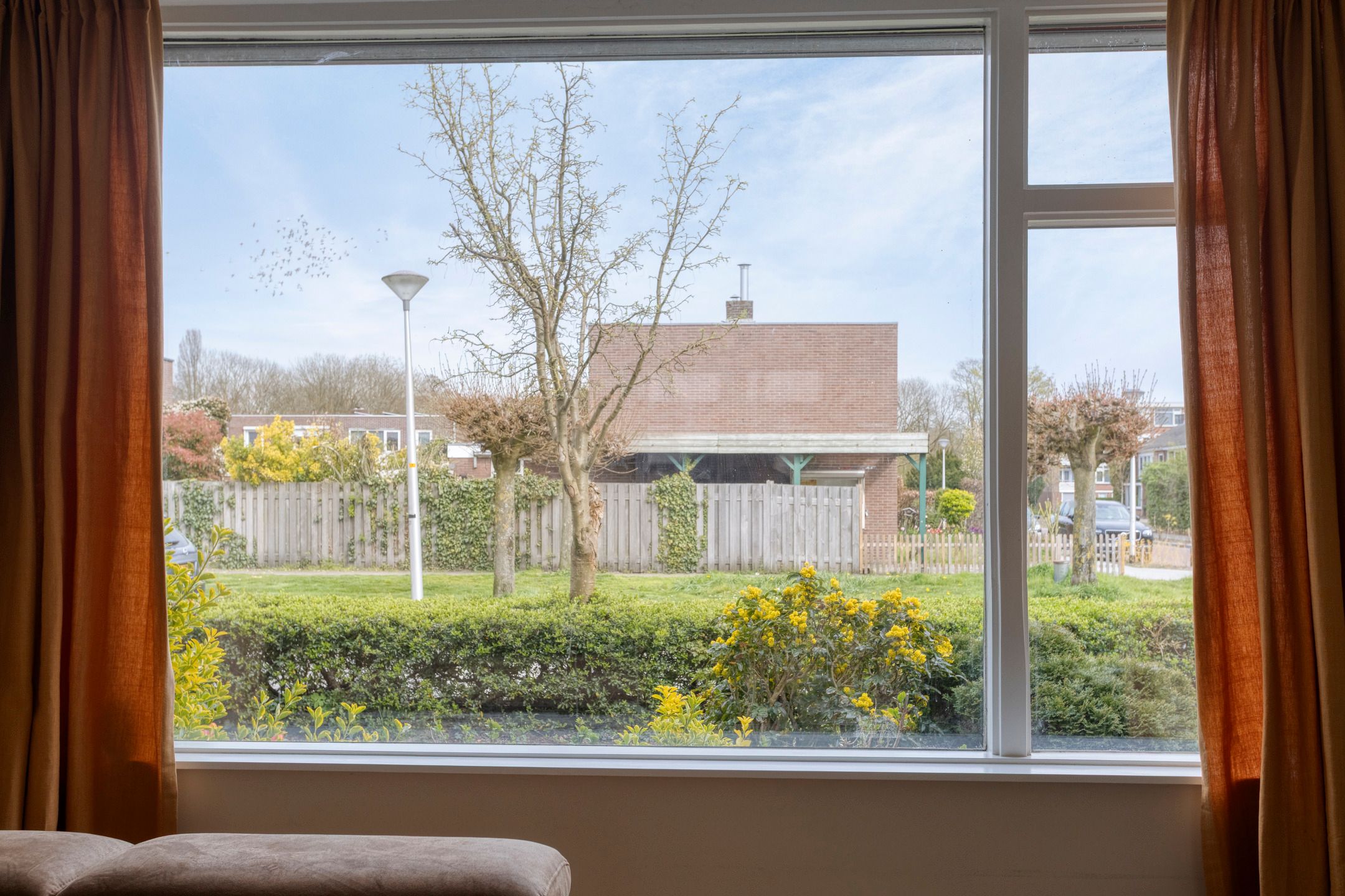 Foto 9 van Potgieterstraat 22