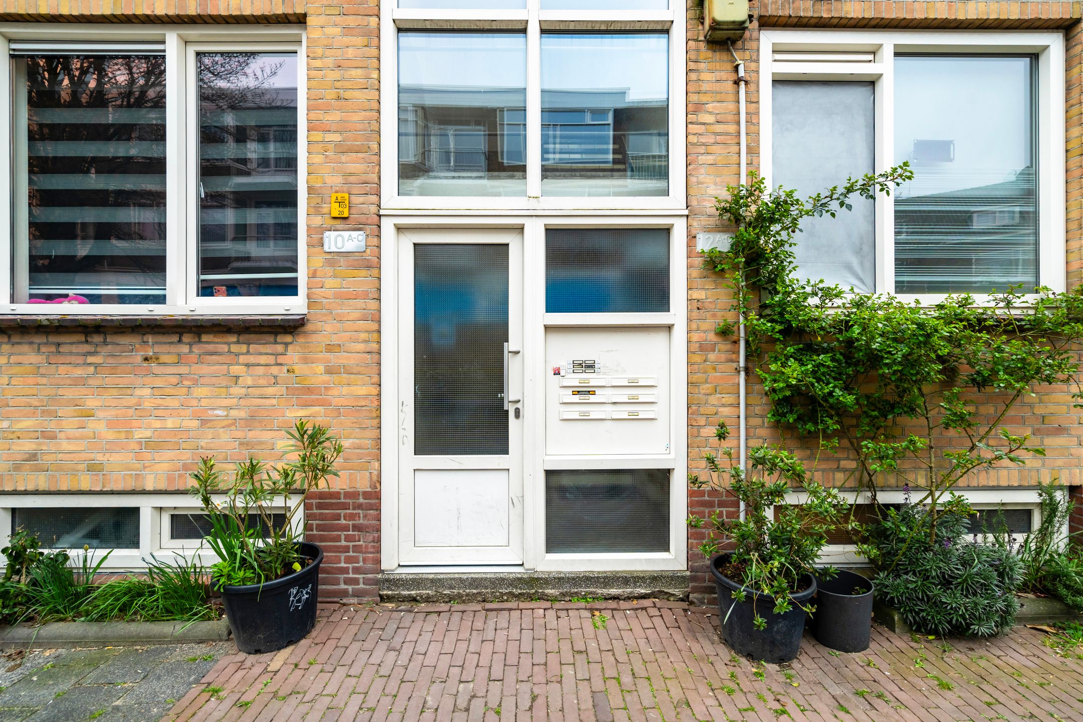 Foto 6 van Texelsestraat 12-B