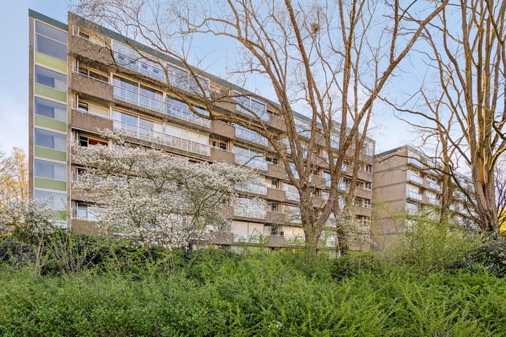 de Wilmskamp 171 main image