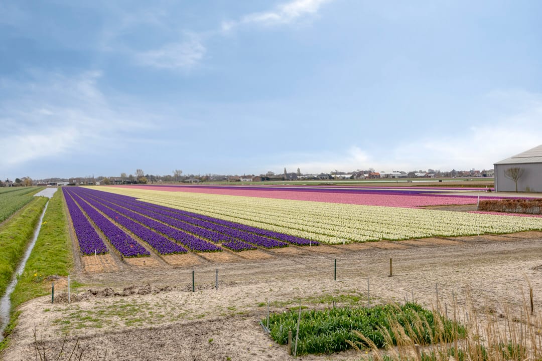 Foto 53 van Hoogduinweg 64