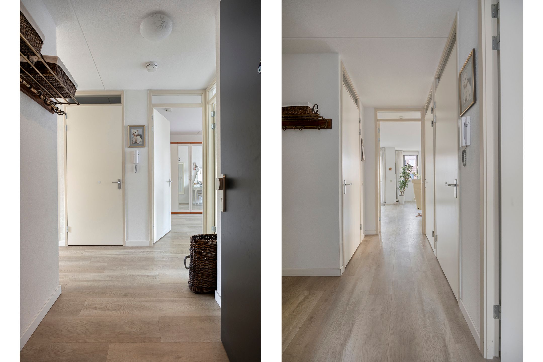 Foto 18 van Zwaluw 79