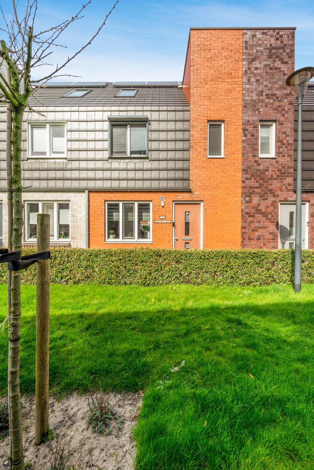 Photo 8 of Rubrum 21