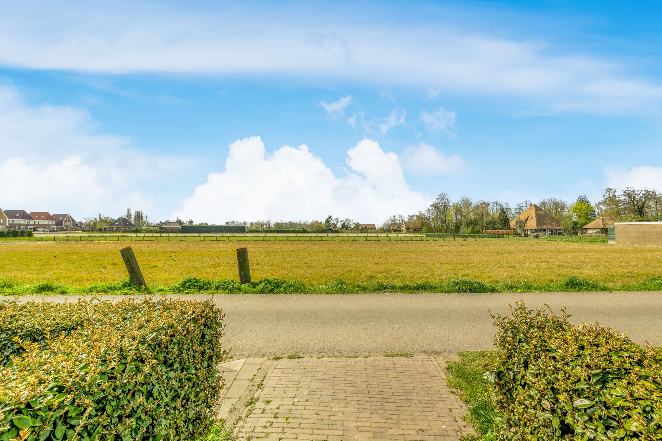 Photo 51 of Rubrum 21