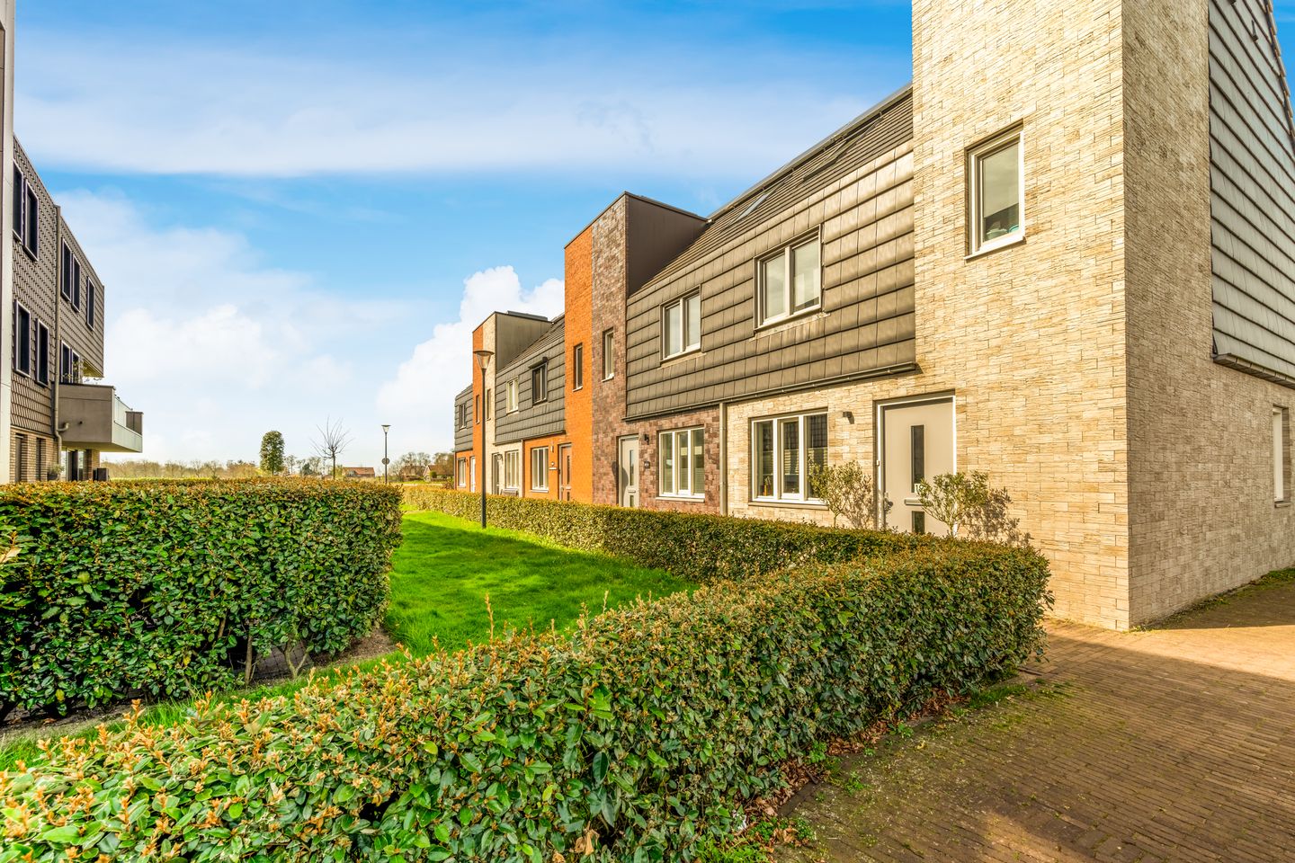 Photo 50 of Rubrum 21