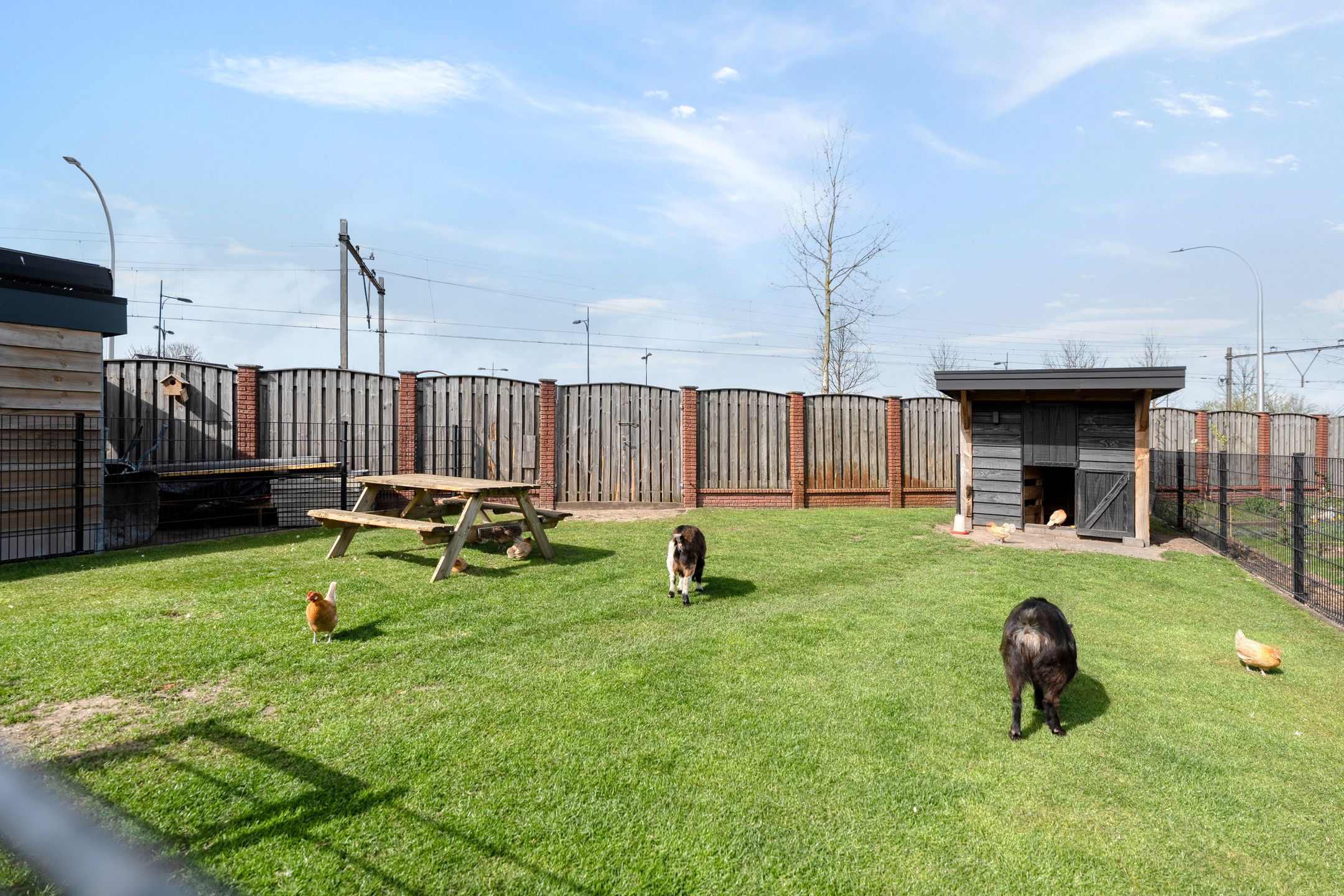 Foto 57 van Haarstraat 176