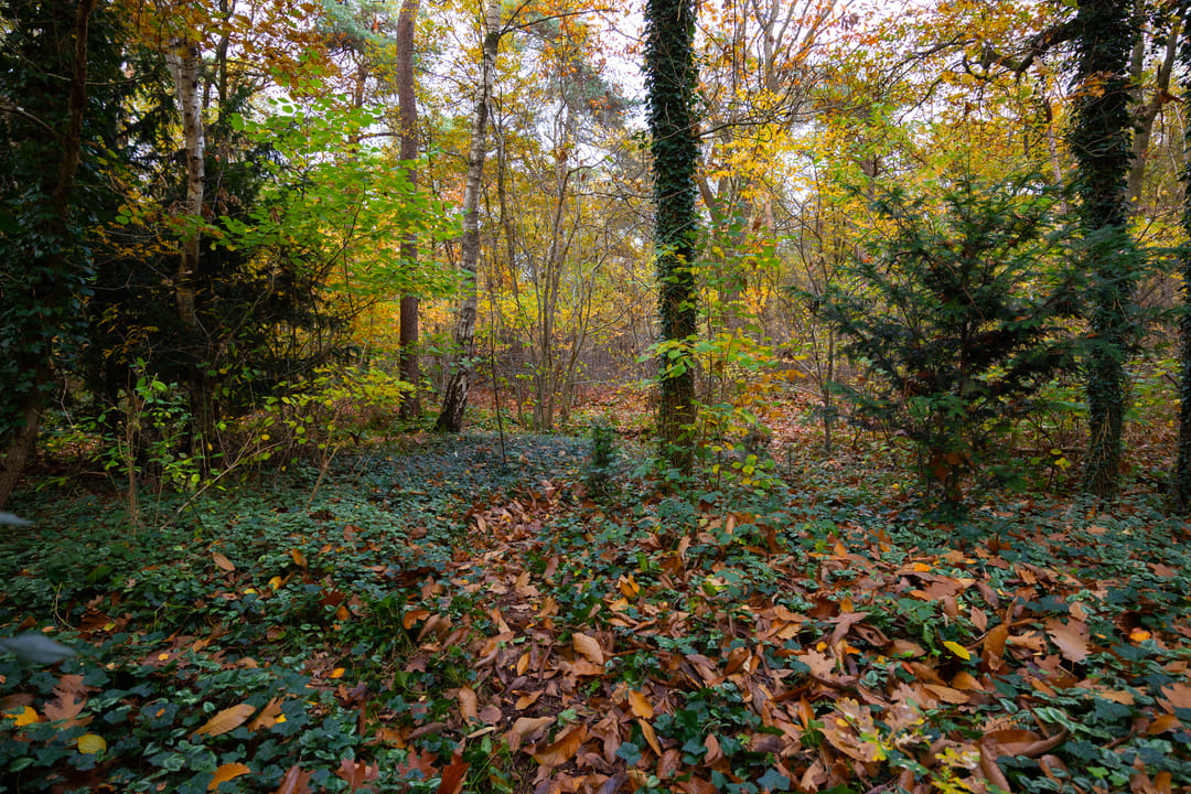 Foto 92 van Juliana van Stolberglaan 9