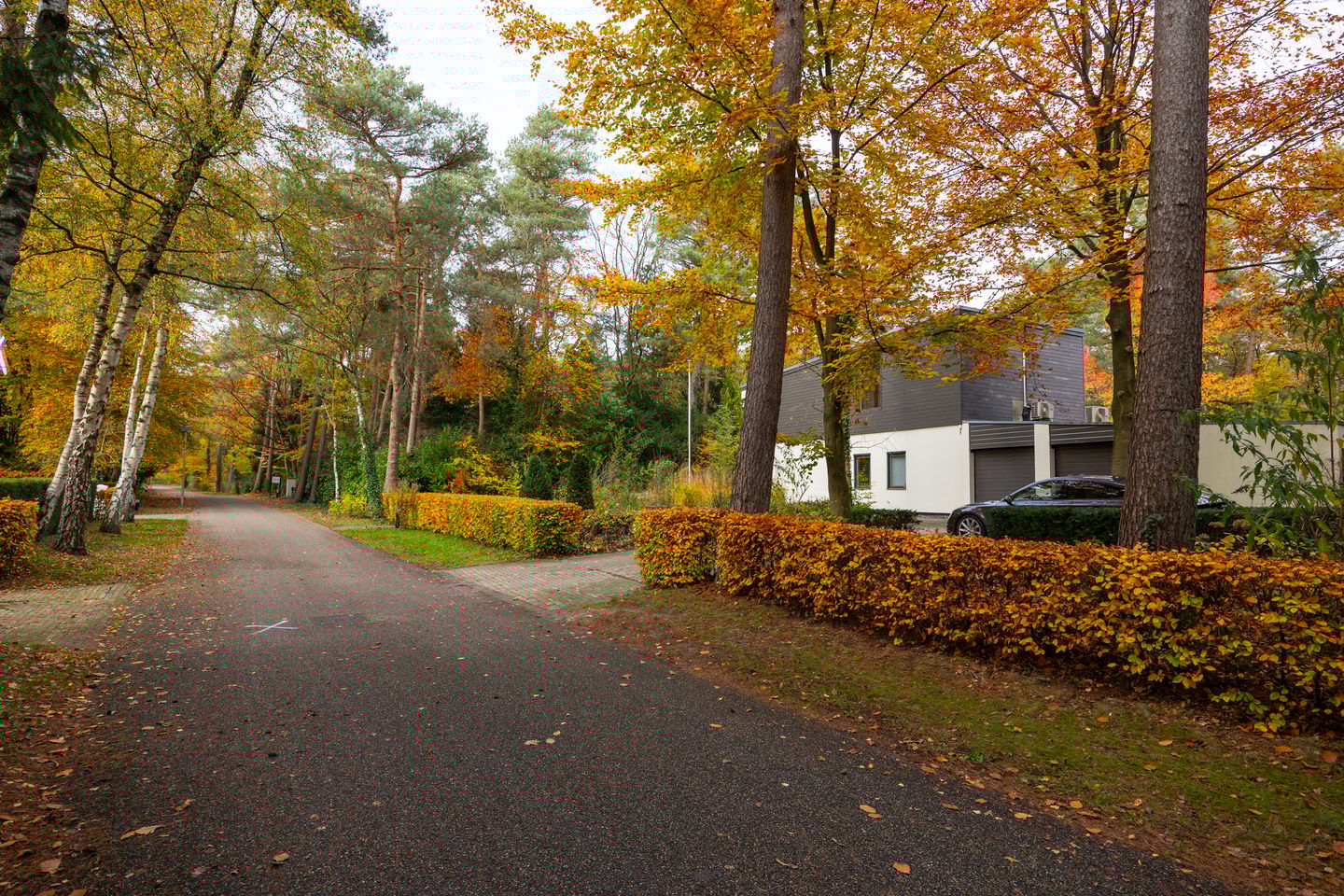 Foto 79 van Juliana van Stolberglaan 9