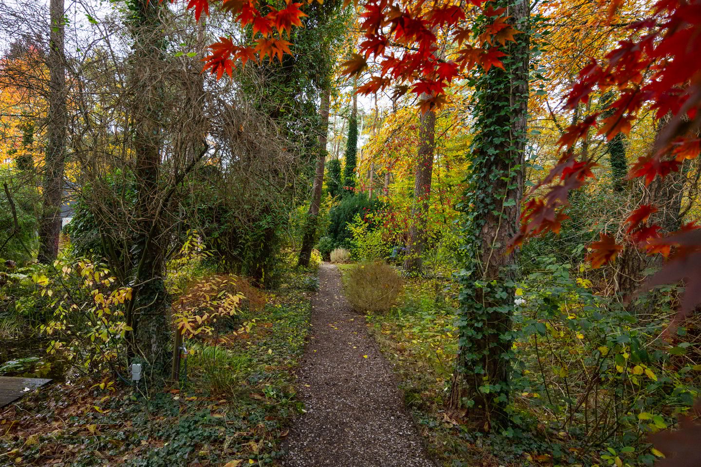 Foto 104 van Juliana van Stolberglaan 9