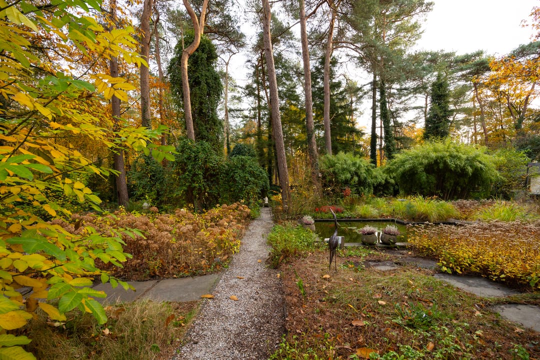 Foto 88 van Juliana van Stolberglaan 9