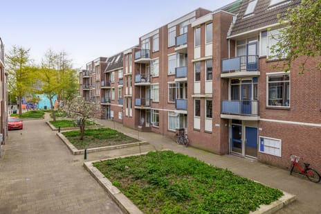 Boerhaavestraat thumbnail