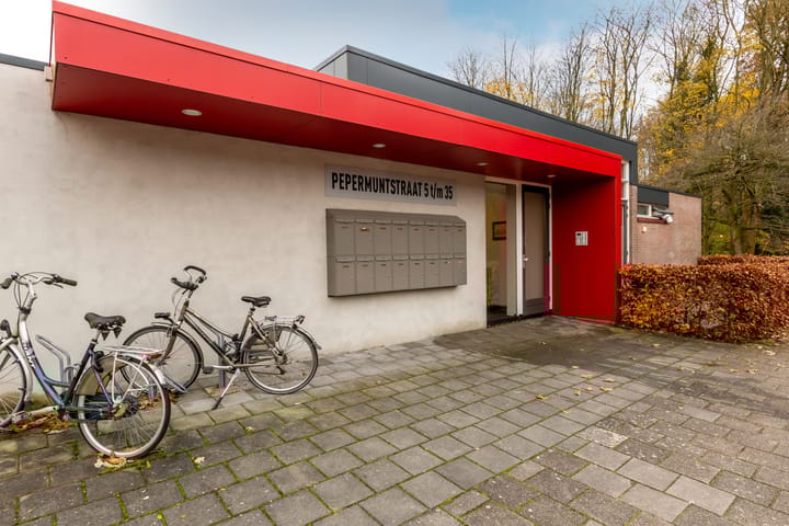 Photo 2 of Pepermuntstraat 5