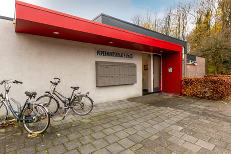 Pepermuntstraat 5 secondary image