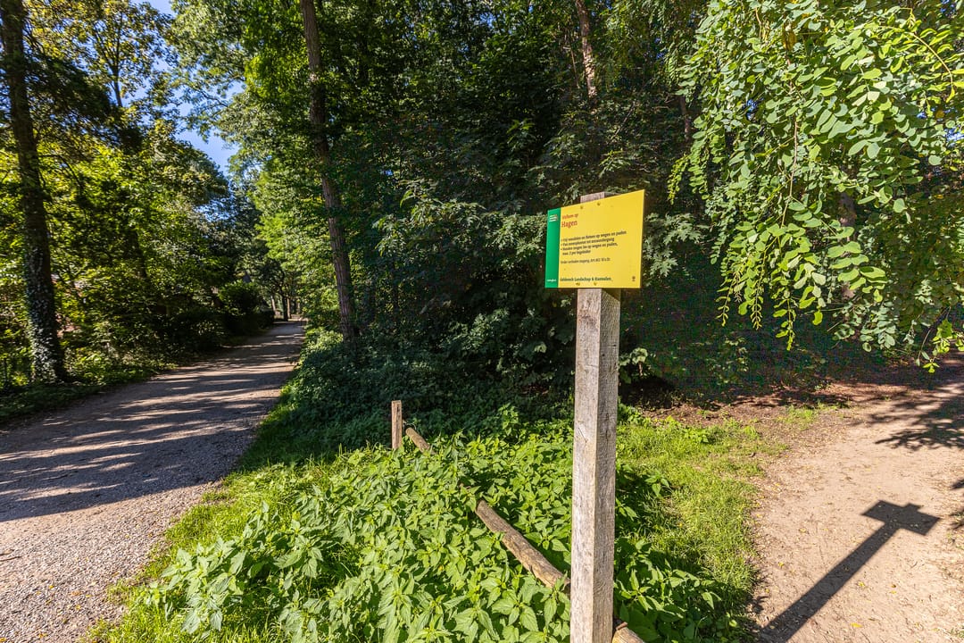 Foto 46 van Zandstraat 18