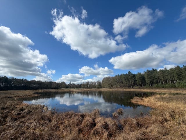 Foto 47 van Zandstraat 18