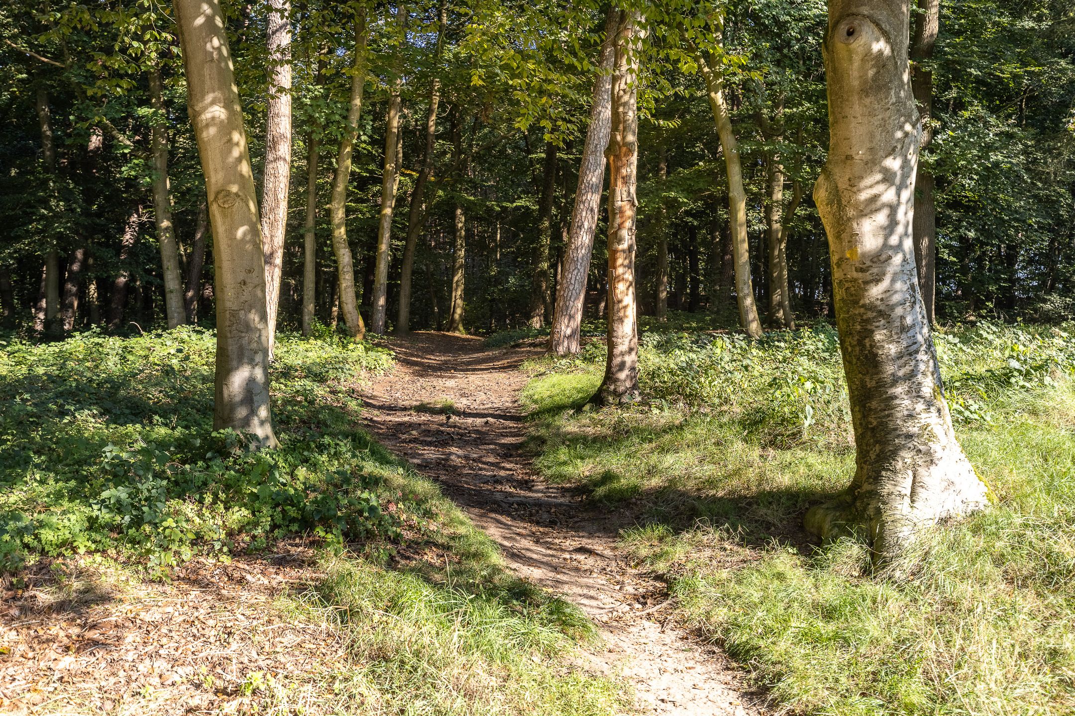 Foto 45 van Zandstraat 18