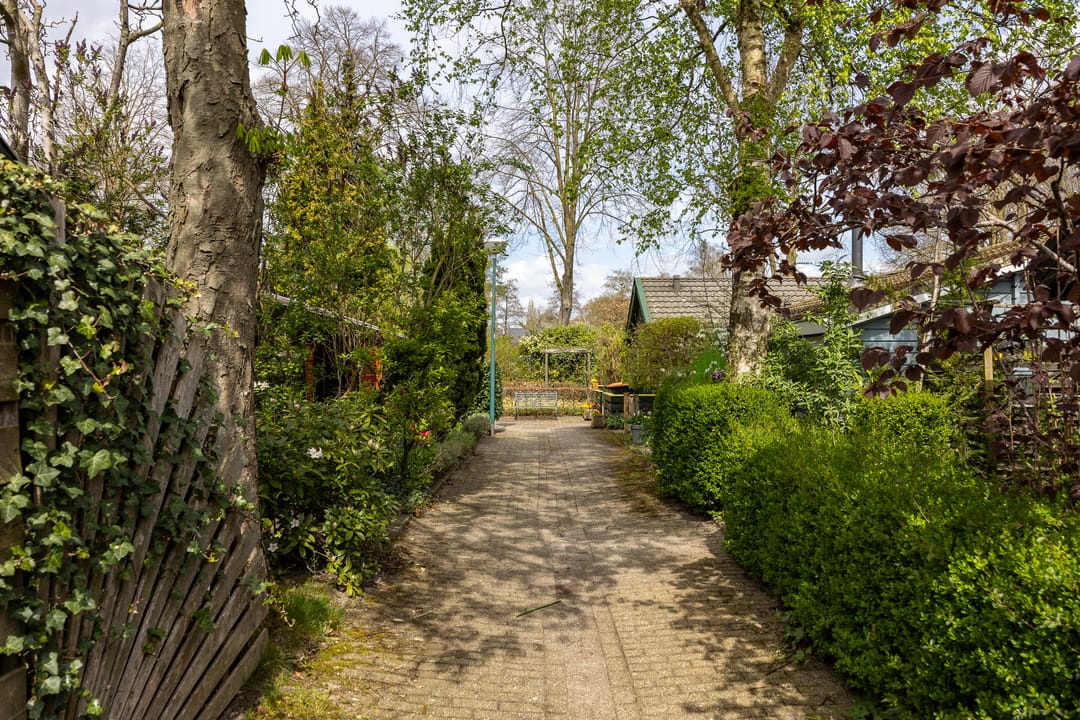 Foto 31 van Eremietenhove 3