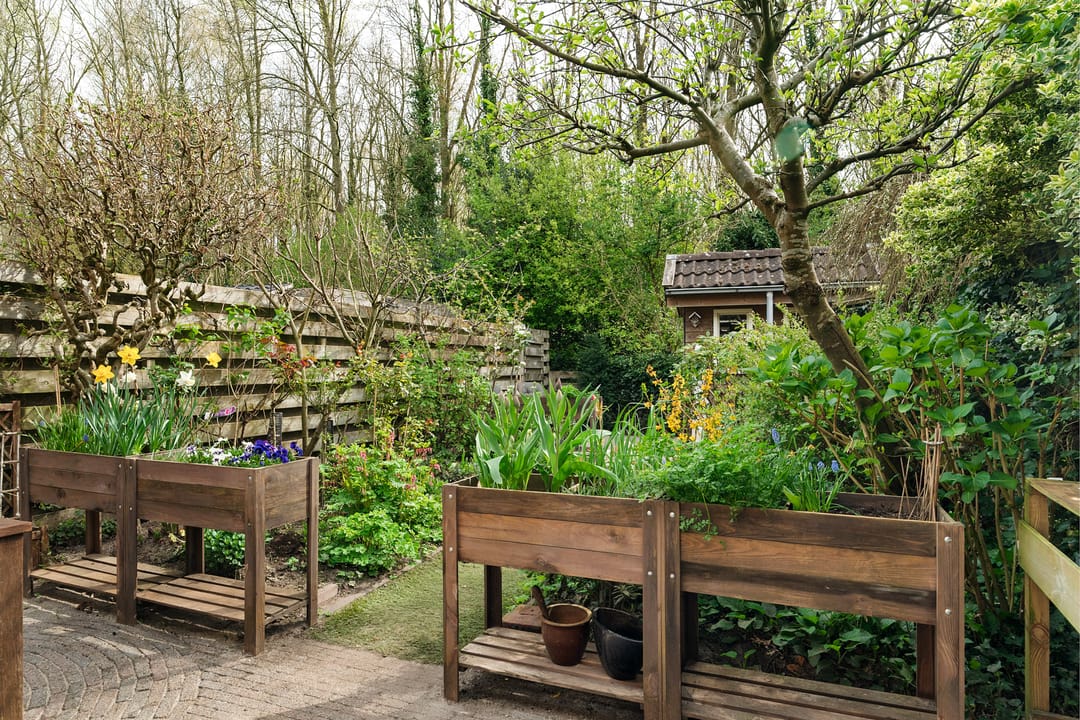 Foto 32 van Rutgerskamp 37