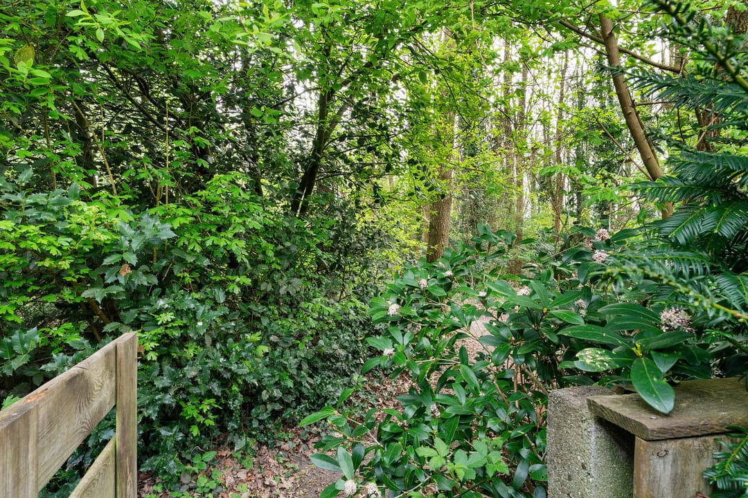 Foto 38 van Rutgerskamp 37