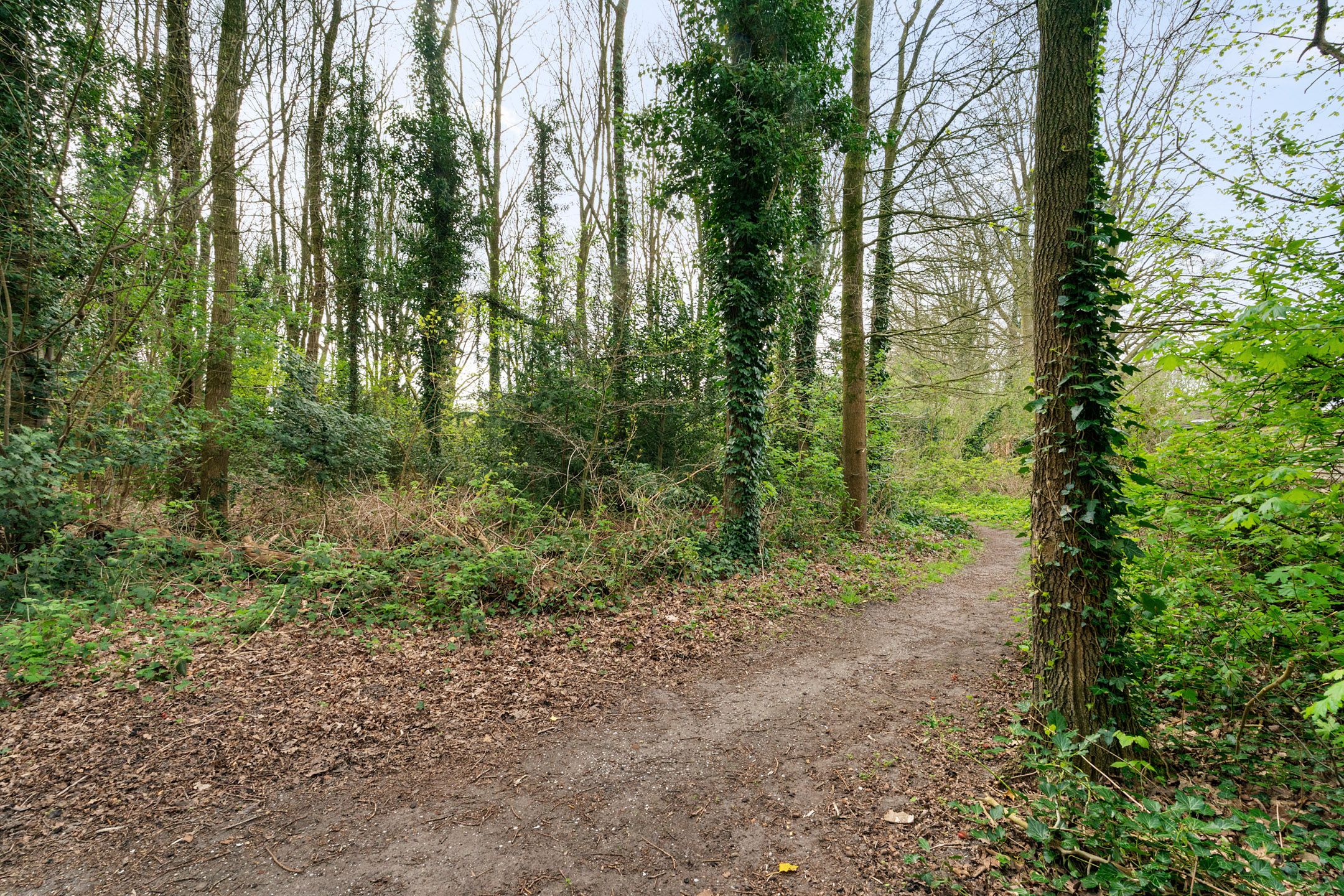 Foto 39 van Rutgerskamp 37