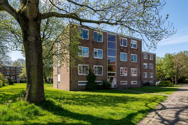 Bordineweg 3 main image