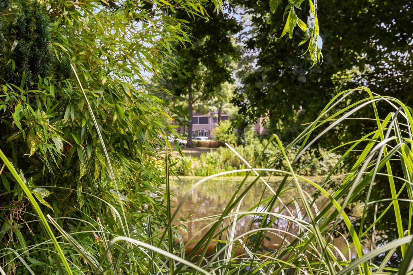 Foto 44 van Koekoeksbloemlaan 3