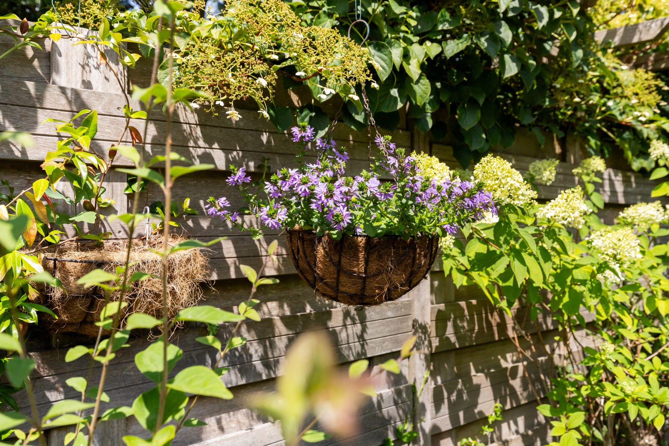 Foto 45 van Koekoeksbloemlaan 3