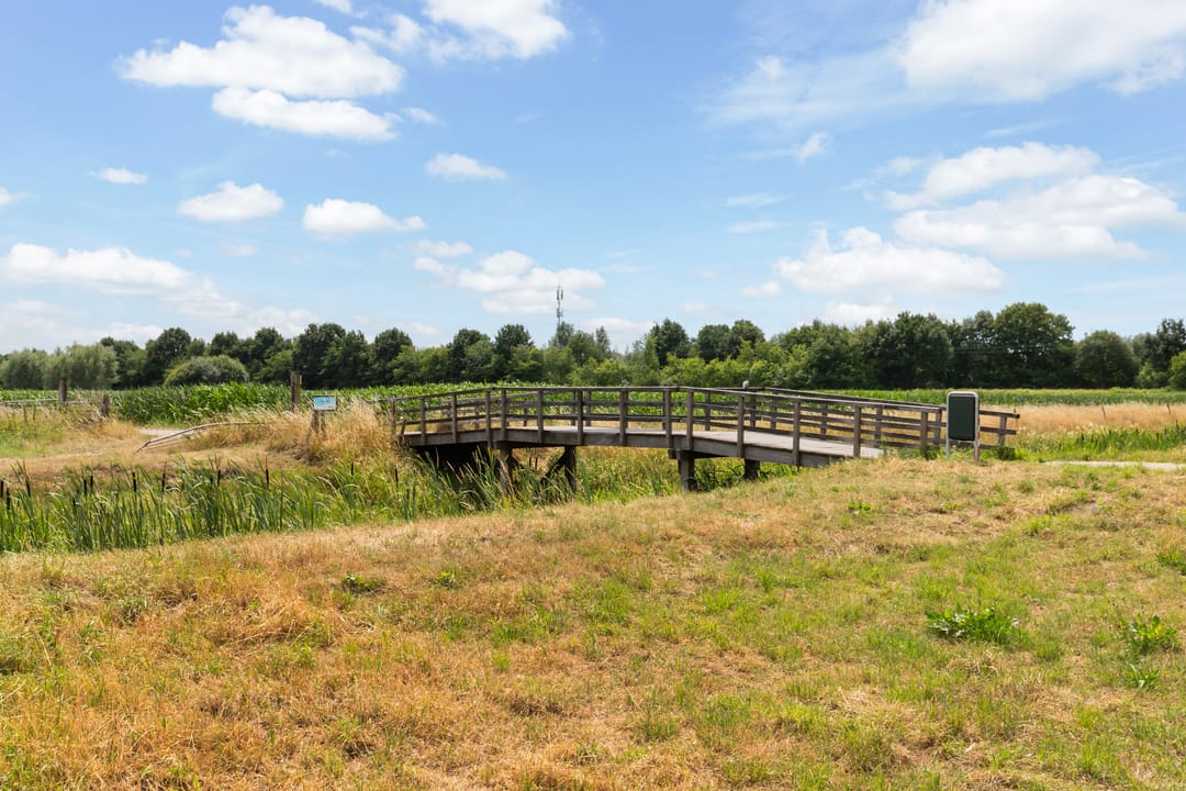 Foto 46 van Koekoeksbloemlaan 3