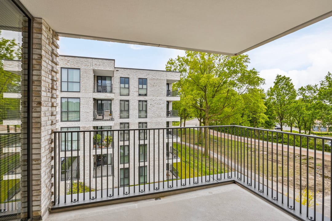 Foto 7 van Jonkheer 37