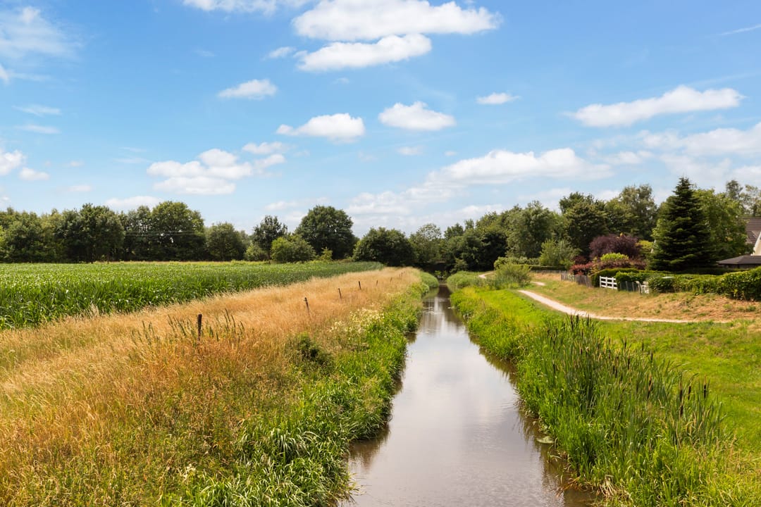 Foto 47 van Koekoeksbloemlaan 3