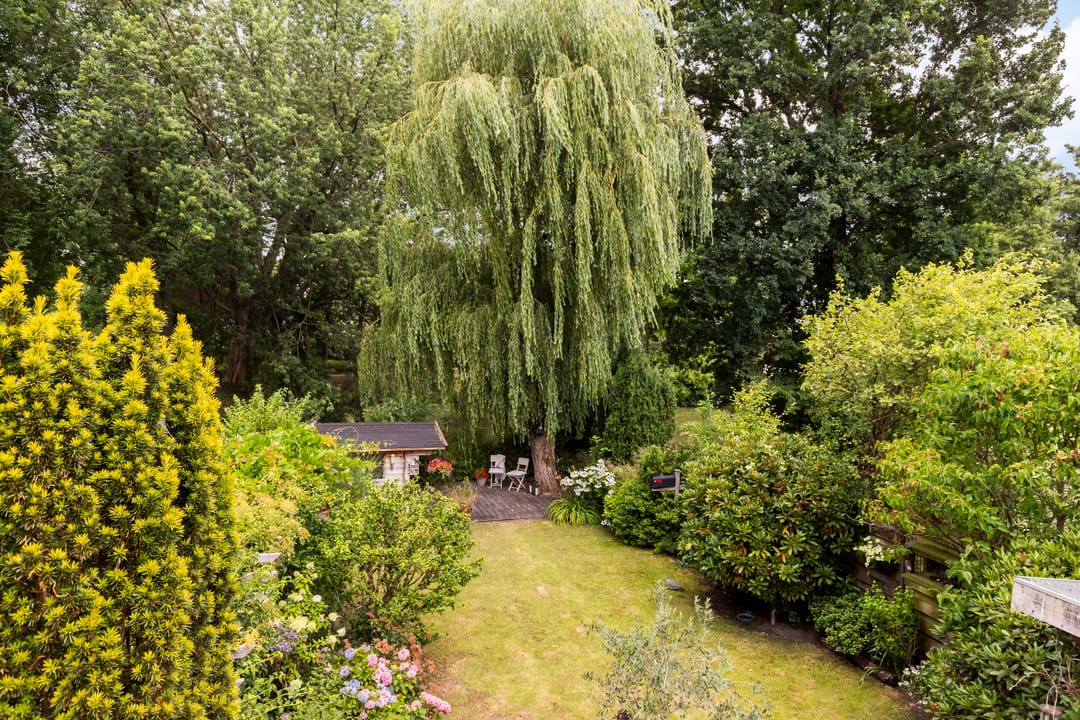 Foto 41 van Koekoeksbloemlaan 3