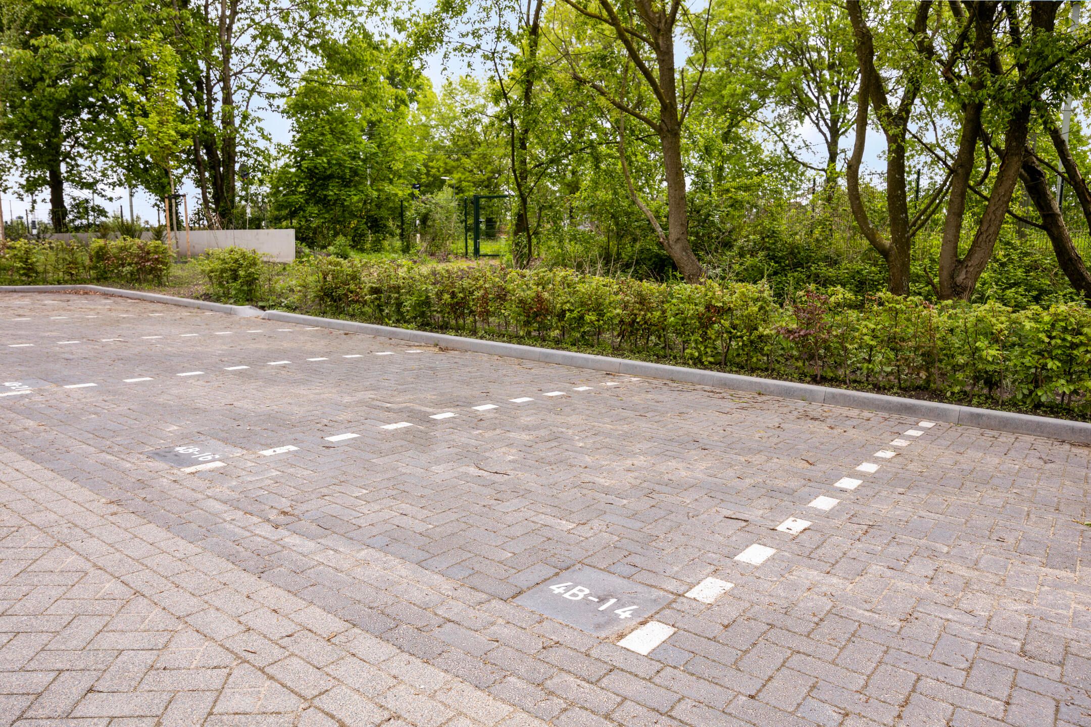 Foto 21 van Jonkheer 37