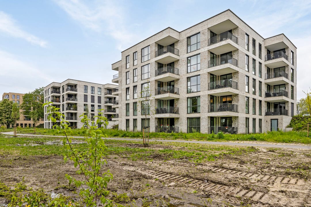 Foto 1 van Jonkheer 37