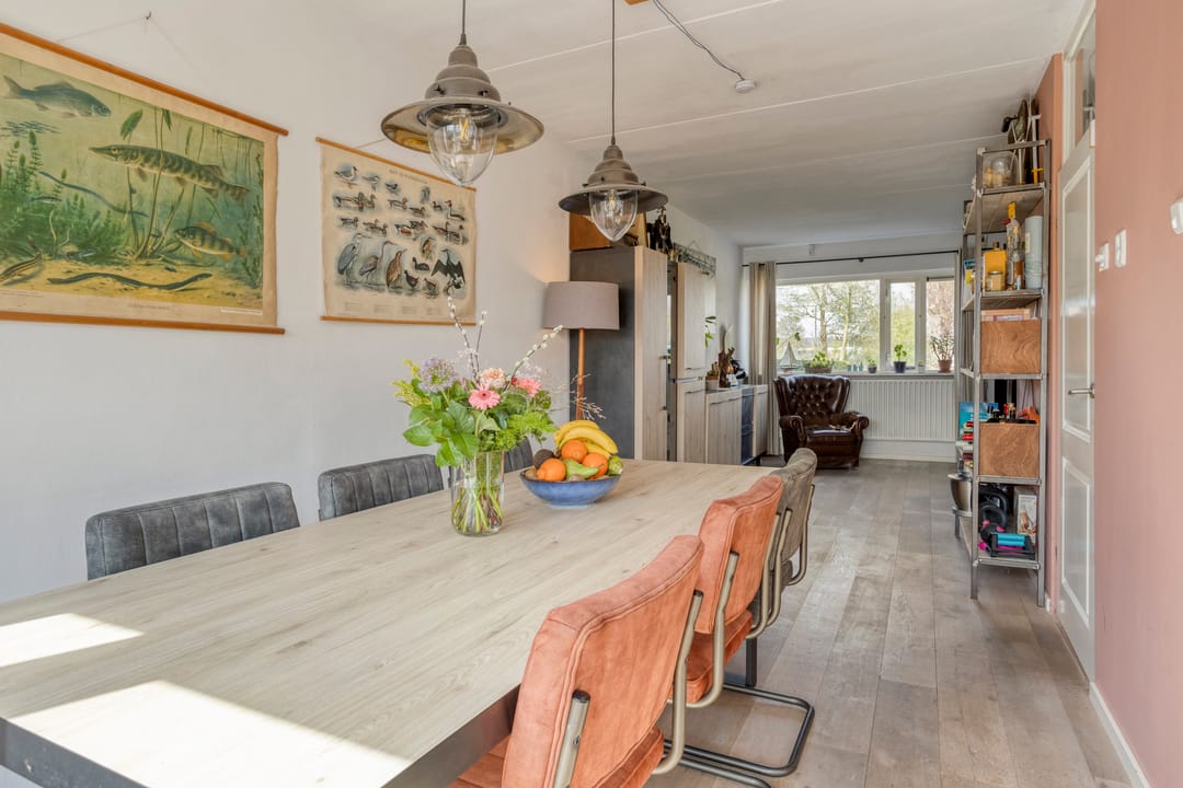 Foto 13 van Westergoleane 59